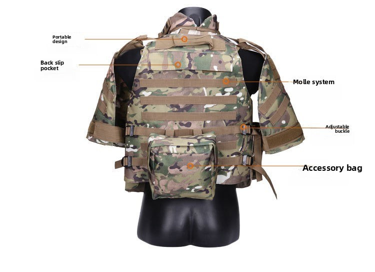 back-view-and-analysis