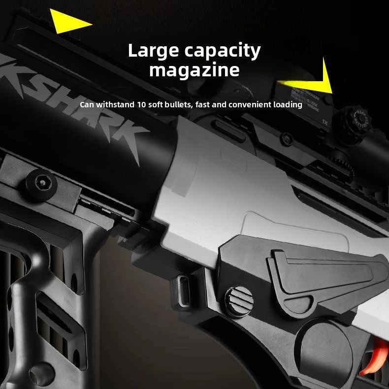 large-capacity-magazine