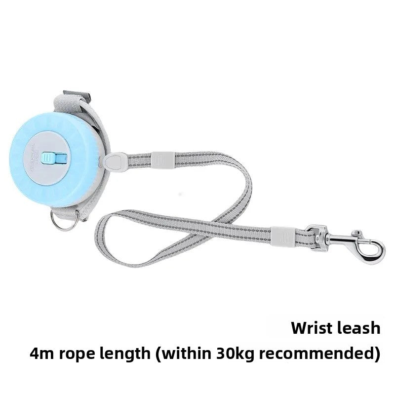 Blue leash