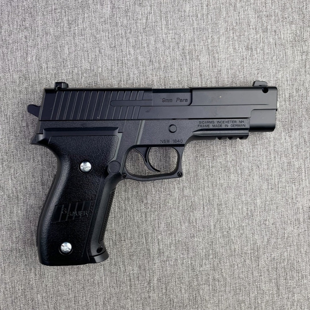 p226-reverse-details