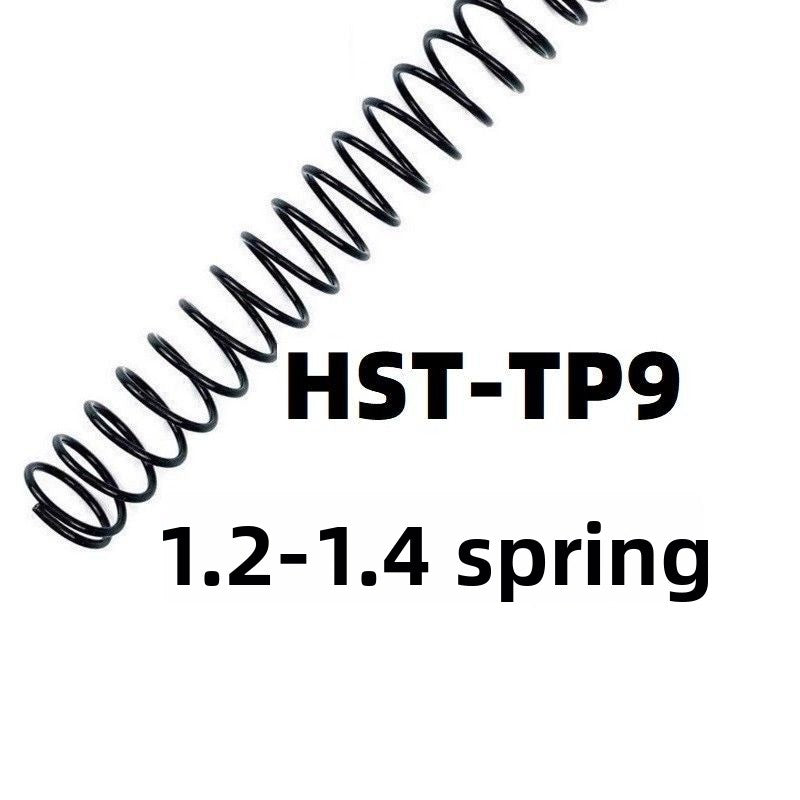 hst-tp9-spring