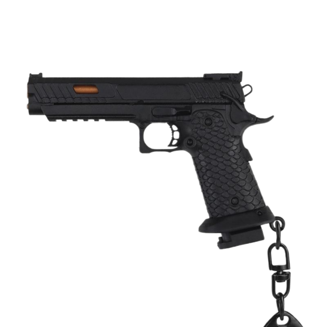 2011 gun model